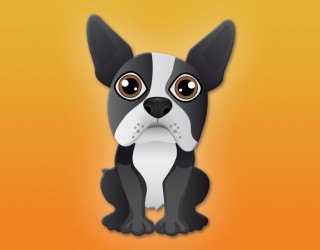 Chienpetz - Boston
